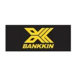 บริษัท บีเคเอ็กซ์